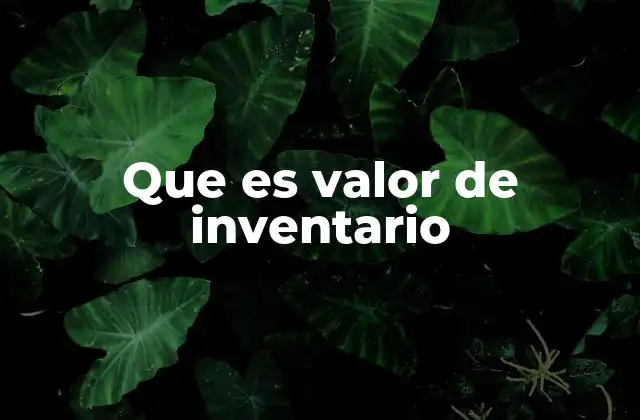 Que es Valor de Inventario