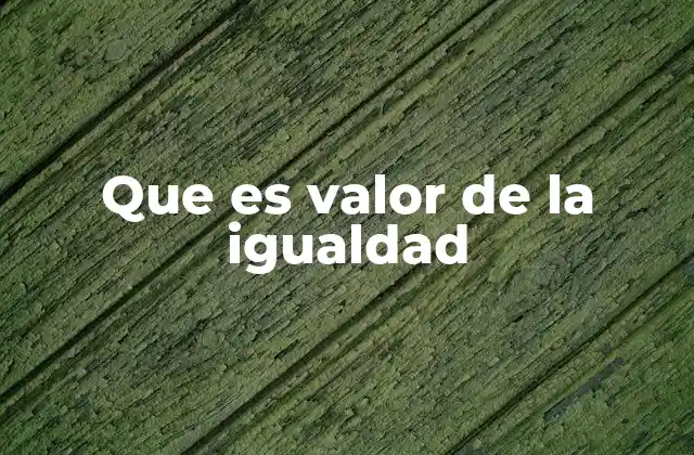 Que es Valor de la Igualdad 2 El valor de la igualdad en el desarrollo social