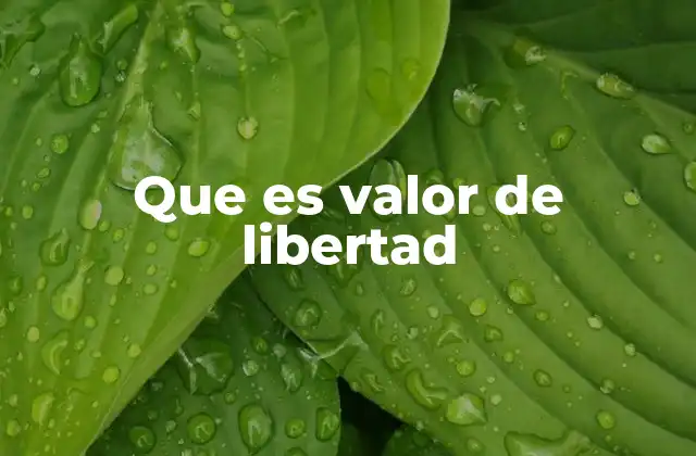 Que es Valor de Libertad