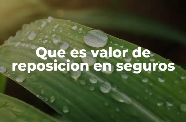 Que es Valor de Reposicion en Seguros