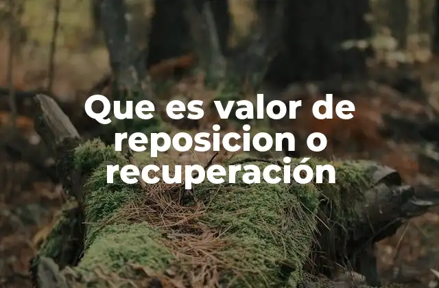 Diferencias entre valor de reposición y otros conceptos financieros