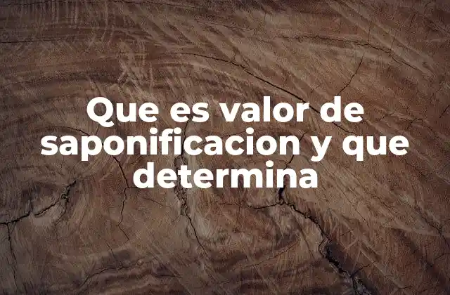 Que es Valor de Saponificacion y que Determina