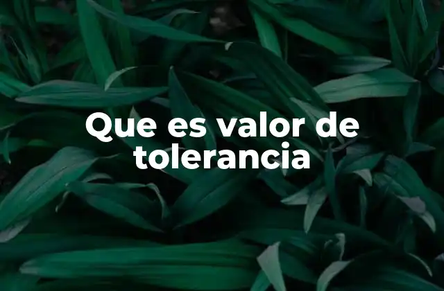 Que es Valor de Tolerancia 2 La importancia del rango de variación en sistemas técnicos