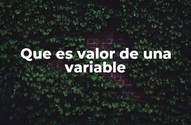 Que es Valor de una Variable
