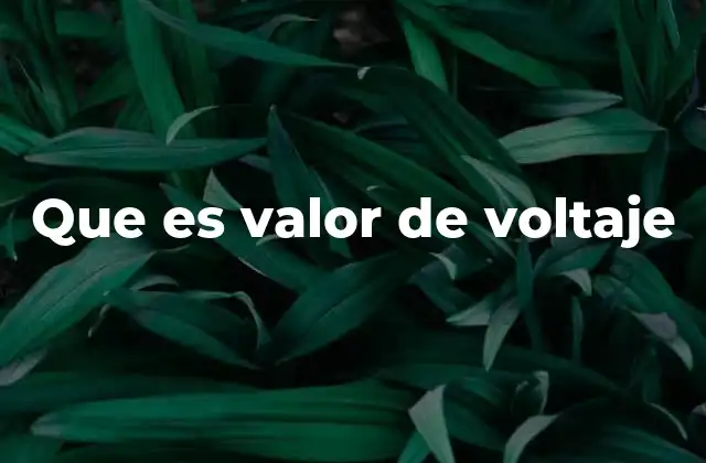 Que es Valor de Voltaje