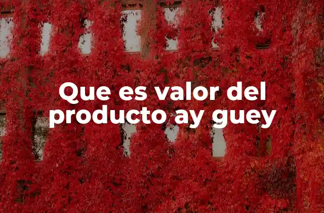 Que es Valor Del Producto Ay Guey