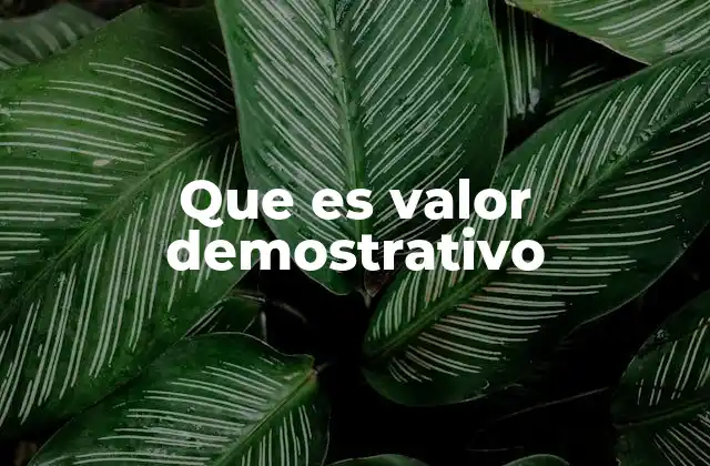 Que es Valor Demostrativo 2 El papel del valor demostrativo en la comunicación efectiva