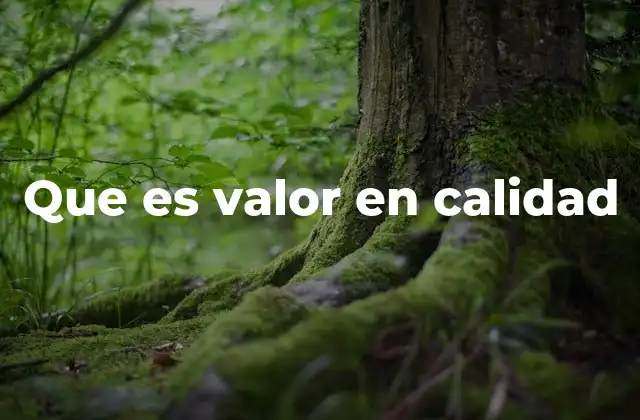 Que es Valor en Calidad