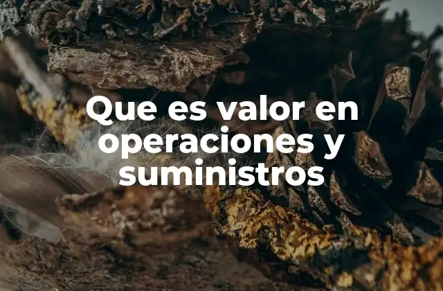 Que es Valor en Operaciones y Suministros