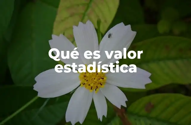 Qué es Valor Estadística