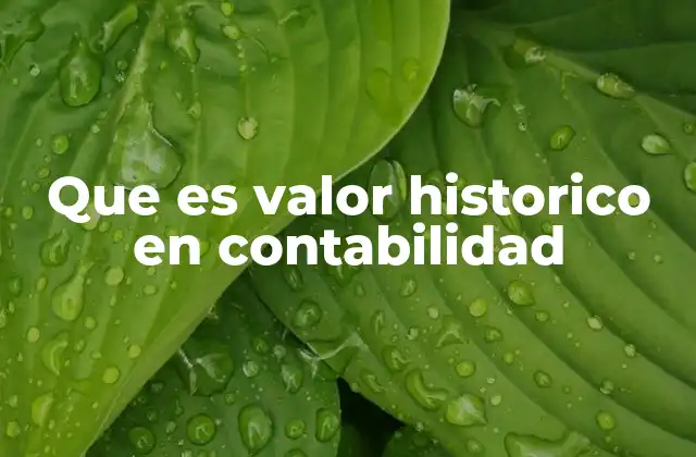 Que es Valor Historico en Contabilidad