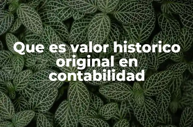 Que es Valor Historico Original en Contabilidad