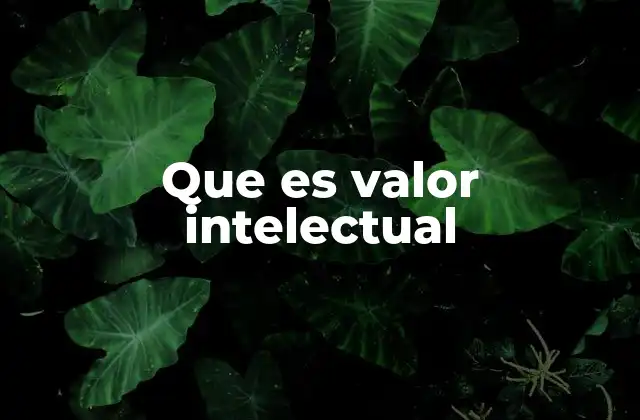 Que es Valor Intelectual