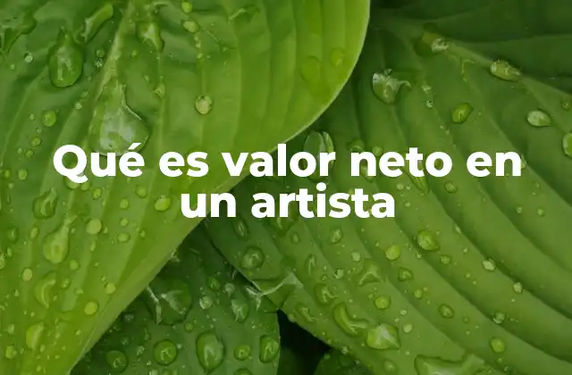 Qué es Valor Neto en un Artista 2 La importancia del valor neto en el mundo del entretenimiento