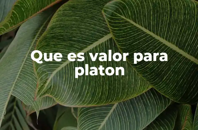 Que es Valor para Platon
