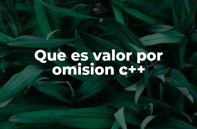 Que es Valor por Omision C++