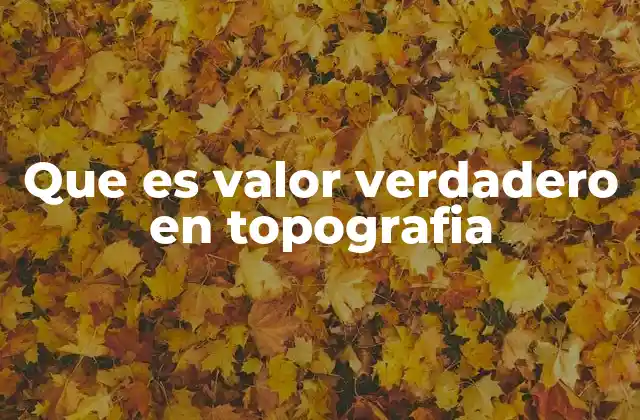 Que es Valor Verdadero en Topografia