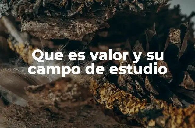 Que es Valor y Su Campo de Estudio