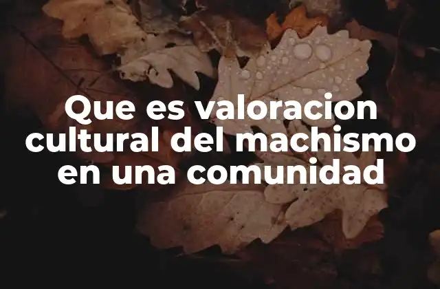 Que es Valoracion Cultural Del Machismo en una Comunidad