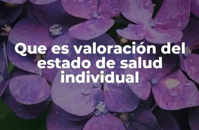 Que es Valoración Del Estado de Salud Individual