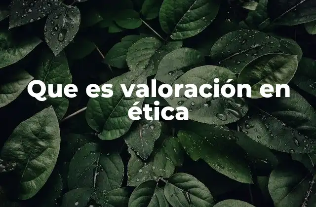 Que es Valoración en Ética