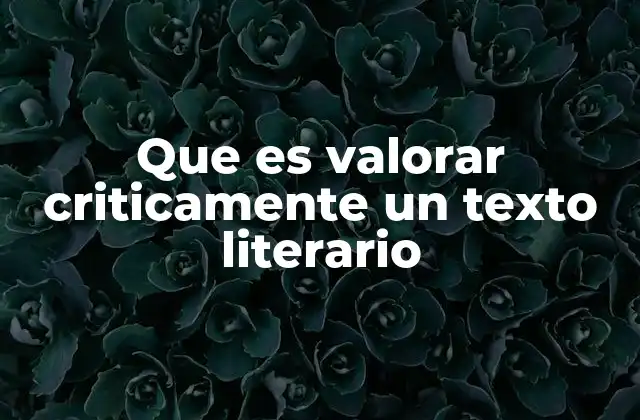 Que es Valorar Criticamente un Texto Literario