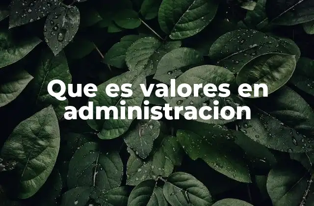 Que es Valores en Administracion
