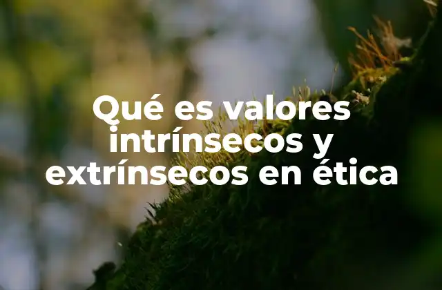 Qué es Valores Intrínsecos y Extrínsecos en Ética