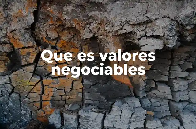 Características esenciales de los valores negociables