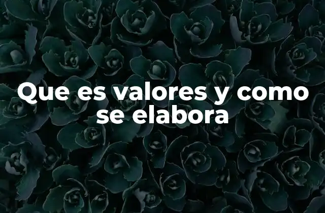 Que es Valores y como Se Elabora