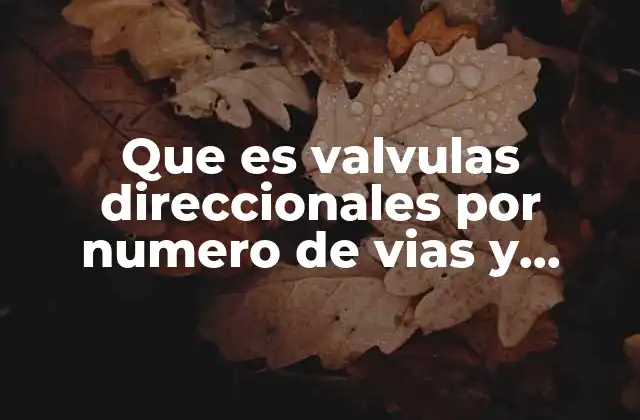 Que es Valvulas Direccionales por Numero de Vias y Posiciones 2 La importancia del diseño de válvulas según su número de vías