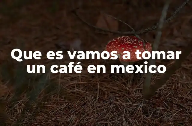 Que es Vamos a Tomar un Café en Mexico
