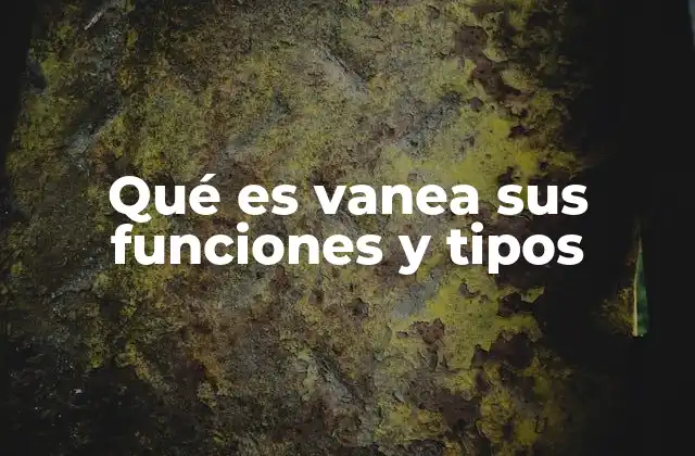 Qué es Vanea Sus Funciones y Tipos