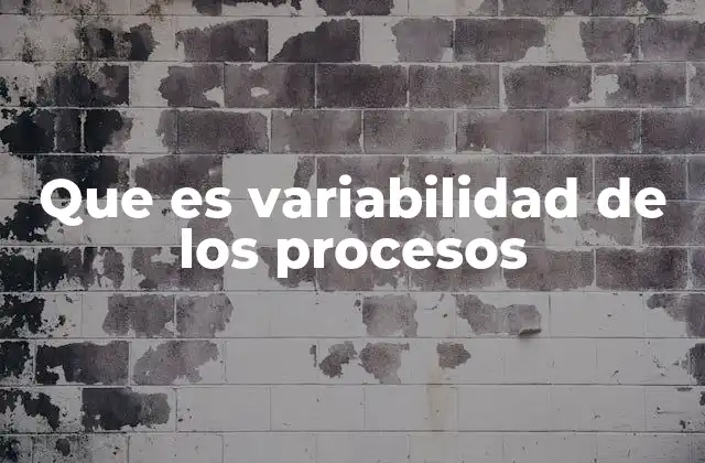 Que es Variabilidad de los Procesos