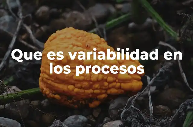 Que es Variabilidad en los Procesos