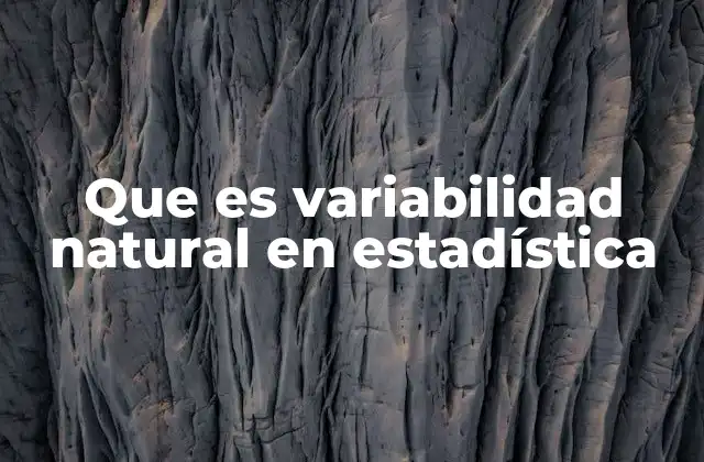 Que es Variabilidad Natural en Estadística 2 Entendiendo la variación en procesos reales