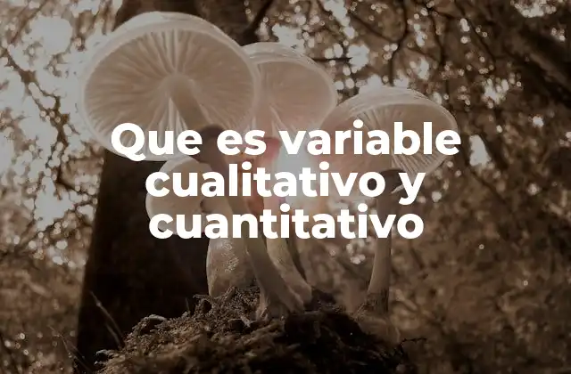 Que es Variable Cualitativo y Cuantitativo