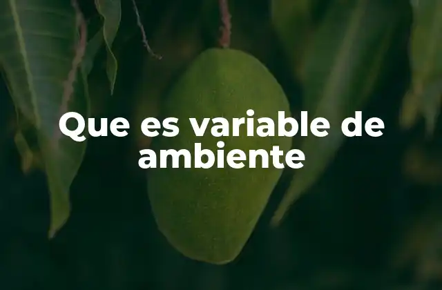 Que es Variable de Ambiente