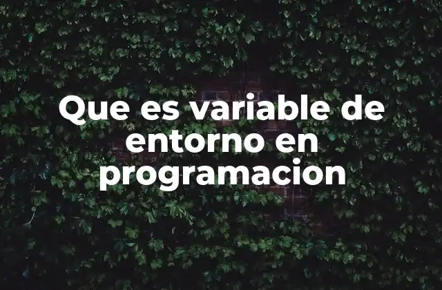 Que es Variable de Entorno en Programacion