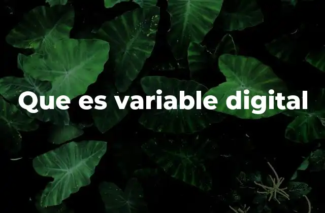 Que es Variable Digital