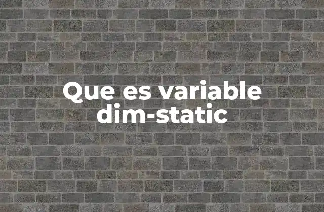 Que es Variable Dim-static