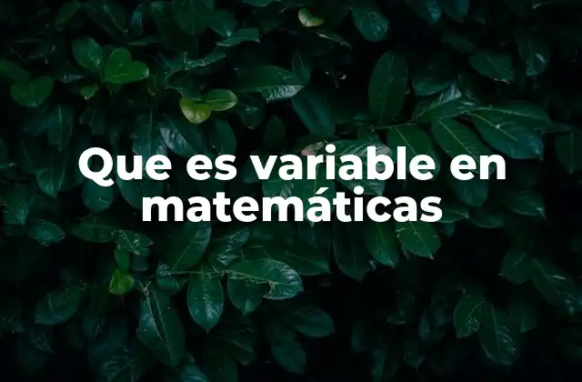 Que es Variable en Matemáticas