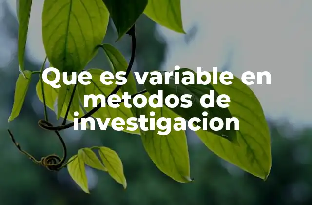 Que es Variable en Metodos de Investigacion