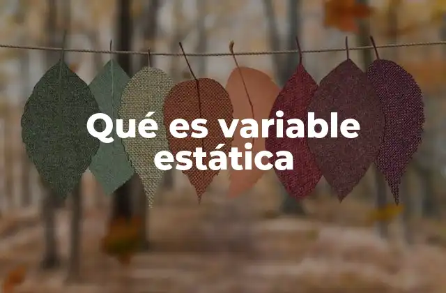 Qué es Variable Estática