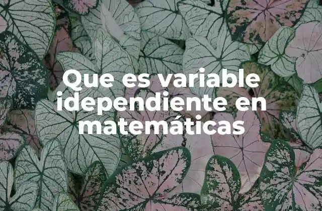 Que es Variable Idependiente en Matemáticas