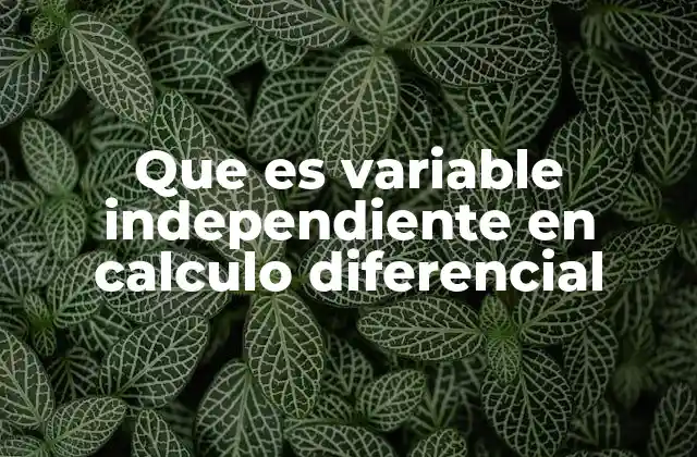 Que es Variable Independiente en Calculo Diferencial 2 El rol de la variable independiente en funciones matemáticas