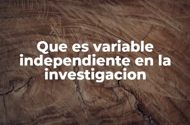 Que es Variable Independiente en la Investigacion