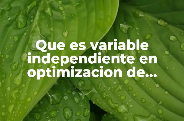 Que es Variable Independiente en Optimizacion de Procesos 2 El papel de las variables independientes en modelos de optimización