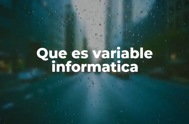 Que es Variable Informatica