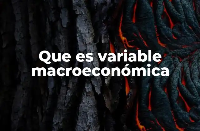 Que es Variable Macroeconómica
